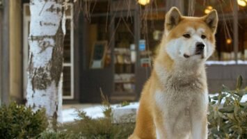 Imagen promocional de Siempre a tu lado (2009)