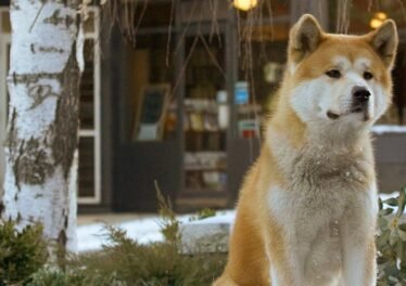 Imagen promocional de Siempre a tu lado (2009)